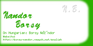 nandor borsy business card